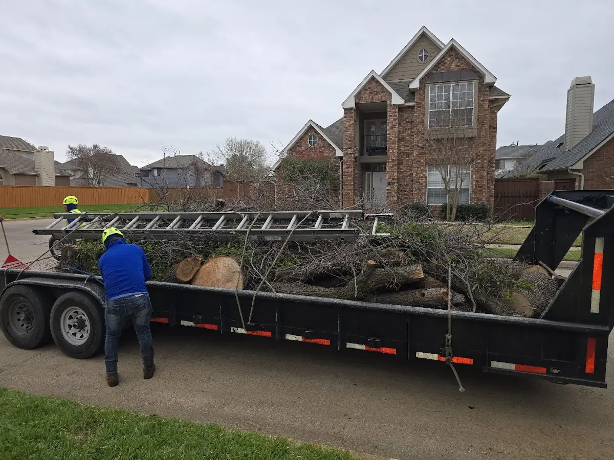 Expert Tree Fertilization with proper safety equipment in Eastport